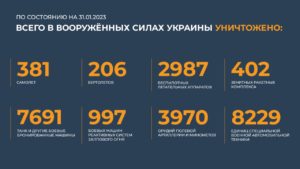 сводка 31.01